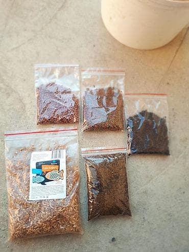 Грызуны: Корм карп кои для золотой рыба и разне рыба 1 кг 3000 сом плавише — 10