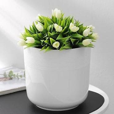 Цветочный горшок "Линель" 2,7л двойной белый at lalafo.kg Цветочный горшок "Линель" 2,7л двойной белый