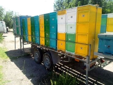 купить прицеп бу на легковой автомобиль: Прицеп, Новый — 11