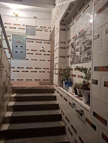 Недвижимость: 3 комнаты, 5 м², 2 этаж — 3