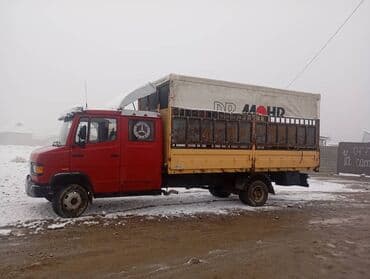 дубил: Грузовик, Mercedes-Benz, Дубль, 6 т, Новый — 6