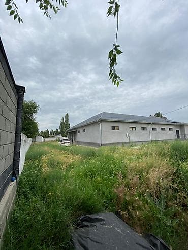 тынчтык ж м: 20 соток, Бизнес үчүн, Кызыл китеп, Техпаспорт — 1