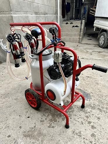 стрижка животных на дому: Продаю турецкий доильный аппарат в идеальном состоянии пользовались — 5