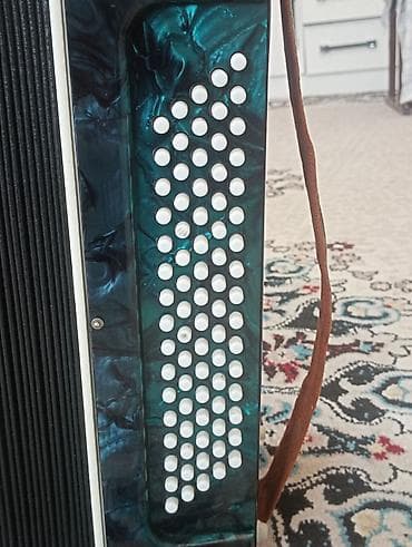 Велосипед тетиктери: Аккордеон/гармошка с клавиатурой пианино - Правая клавиатура: 41 — 4