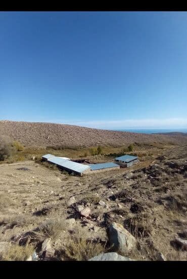 меняю на скот: Продается действующий бизнес кашар вместе с садом для разведения скота — 1