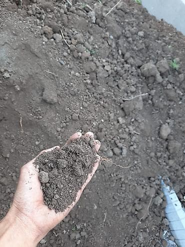 грабль: Плодородный грунт/горный чернозём для участков озеленения. Как в — 1