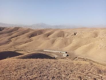 рыбки аквариумные бишкек: 5000 Индюк багууга шарт бар, жай бар, тен шерикке партнёр издейм — 2