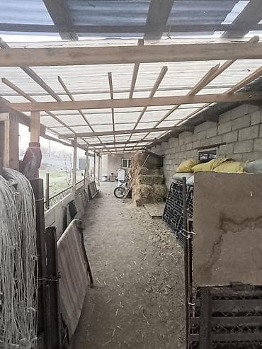 сдается дом аламедин 1: 11 соток, Для сельского хозяйства, Красная книга — 10