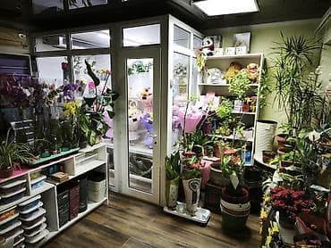 магази: Вефа Тц Продается готовый бизнес цветочный магазин сдается помещение — 2