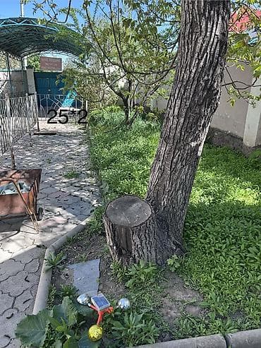 прополка травы: Надо перекопать участок около 150м2,убрать сорняк,убрать и раскидать — 3