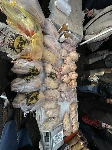 Домашняя птица индук индейка — тушки и части - Целые тушки курицы at lalafo.kg Домашняя птица индук индейка — тушки и части - Целые тушки курицы