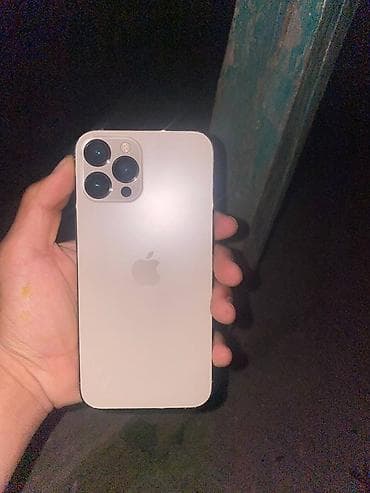 проигрыватель cd: IPhone 12 Pro Max, Б/у, 256 ГБ, Серебристый, Зарядное устройство, Чехол, 86 % — 1