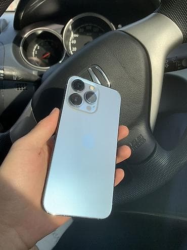 IPhone 13 Pro, Серебристый