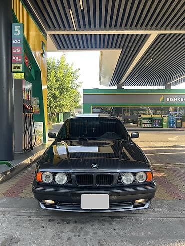туманики 210: BMW 5 series: 1995 г. — 1