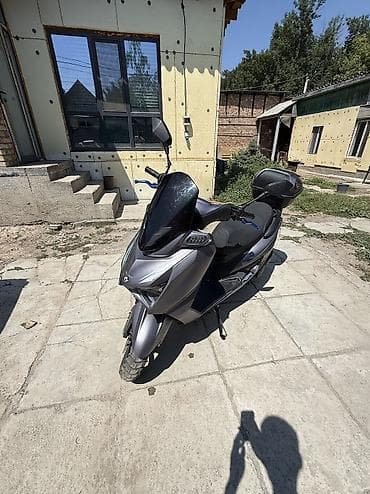 49: QMAX SPORT 5000 пробег документы полный фарш есть 180 кубов пушка — 2