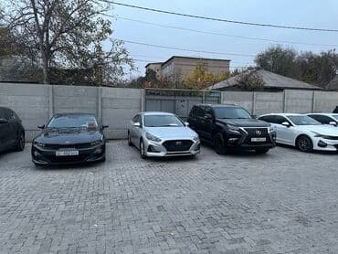 ауди с4 чехол: Kia K5: 2019 г., 2 л, Автомат, Газ, Седан — 7