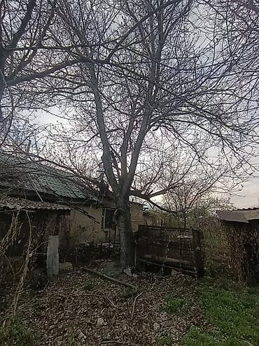 коврик с подогревом: Продаются дерево Орех — 2