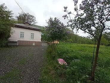 антоновка дом: Ош шаарына караштуу Озгурдан Ак бууранын жанында 15сотике жакын — 4