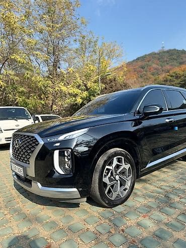 honda passport: Hyundai Palisade: 2020 г., Бензин, Кроссовер — 8