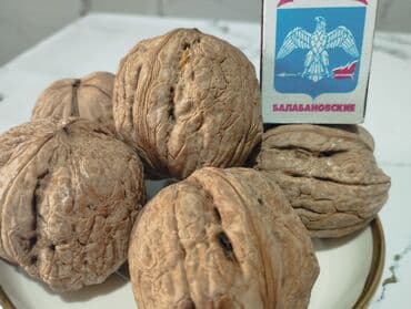 Продаю Саженцы. больших грецких Орехов . Их можно сажать с осени до