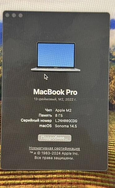 hp 45: MacBook Pro 13" (2022) на чипе Apple M2 Характеристики: - Дисплей — 2