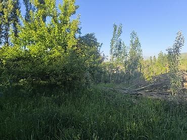 участо: 52 соток, Курулуш, Кызыл китеп — 2