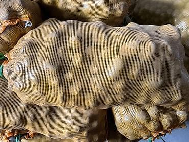 мешки для картофеля: Картошка Оптом, В розницу — 1