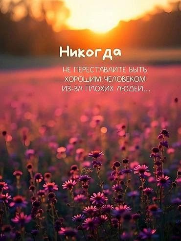 квартира сдам: Квартира Уй времянка издейбиз чон семья торт бала менен карап жашаган — 2