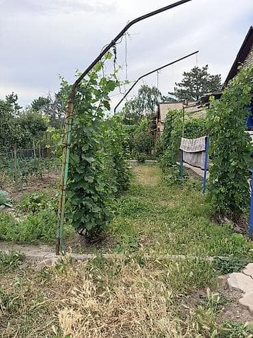 жм восток: Продаётся дачный участок с кирпичным домиком и ухоженным огородом — 7