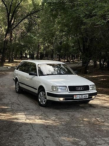 mers 221: Audi 100: 1992 г., Автомат, Универсал — 2