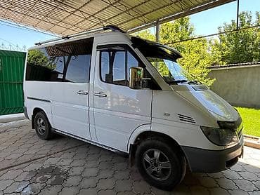 Mercedes-Benz Спринтер: 2005 г., Бус