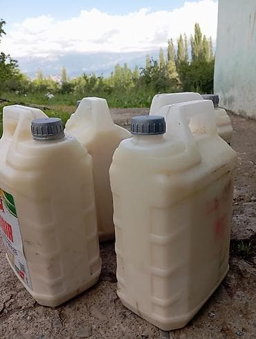 крем мёд: Натуральное коровье молоко в канистрах. - Фасовка: пластиковые — 1