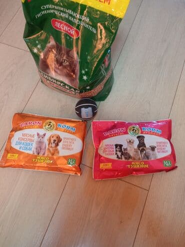 сколько стоит американская короткошёрстная кошка: Скотиш Фолд (Шотландская вислоухая), 3 месяца, Мальчик, Черный, С прививками, Приучена к лотку, Проглистована — 6