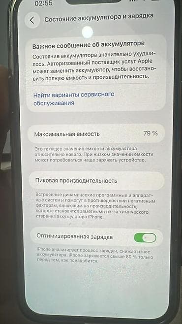 13 mini: IPhone 13 Pro Max, 256 ГБ, Sierra Blue, Чехол — 5