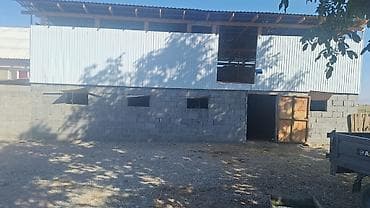 помещение жалал абад: Сарай/коровник для КРС - Размер: 13,6 м (длина). - Вместимость — 2