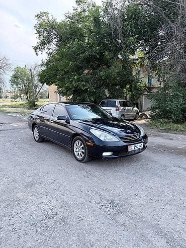 краун 204: Toyota Windom: 2003 г., 3 л, Автомат, Газ, Седан — 3
