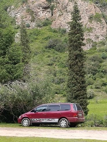 Honda Odyssey: 1995 г., Автомат, Бензин, Минивэн