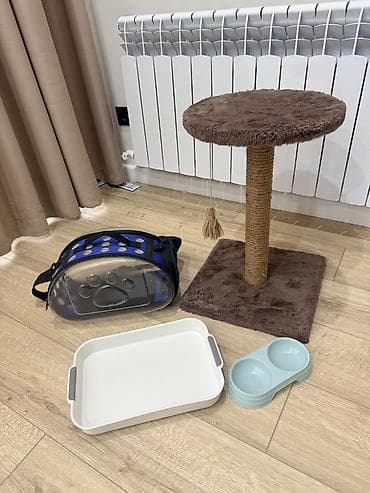 котенки: Набор для кошки/котёнка(б/у) В комплект входит: - Когтеточка-столб с — 1