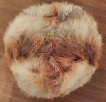 шапка с ушками которые поднимаются купить: Продаю шапку
Лисий мех
Размер 54 см
Состояние хорошее
Пишите на вотсап — 1