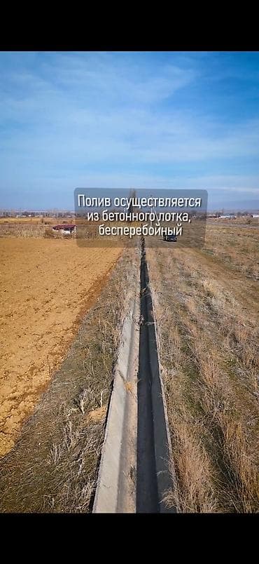 воост 2 участок: 319 соток, Для сельского хозяйства — 6