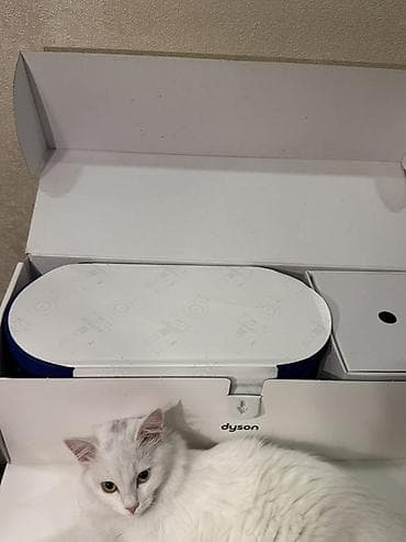 dyson airwap: Мультистайлер Dyson, До 180 °С, Для завивки — 1