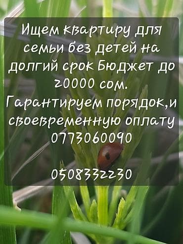 Недвижимость: Ищем квартиру для семьи без детей на долгий срок. Бюджет до 20 000 — 4