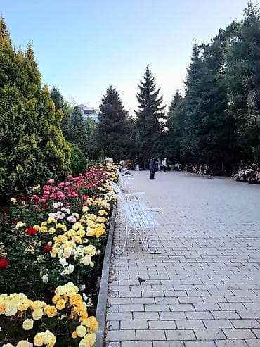 разный: Аренда квартиры на Иссык-Куле, Радуга West, Кош-Кол, 8 мест, Цена Целиком за жилье — 8