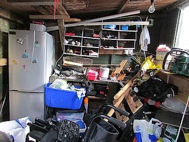 приют куда можно отдать собаку: Мы Поможем Вам освободить Ваш гараж балкон, сарай, квартиру от — 1