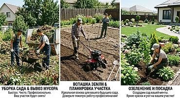 Уборка помещений: Уборка территории, Уборка двора и сада — 1