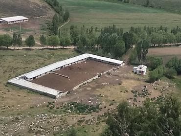 село комсомол иссык куль: Продаётся Кошара в Иссык-кульской области, село Ананьево. Имеется — 4