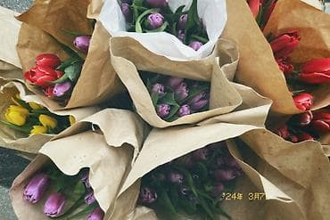 Декор и интерьер: Свежие, крупные, яркие голландские тюльпаны — идеальный подарок для — 7