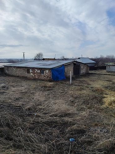 печь пекарский: 30 соток, Для строительства, Красная книга — 6