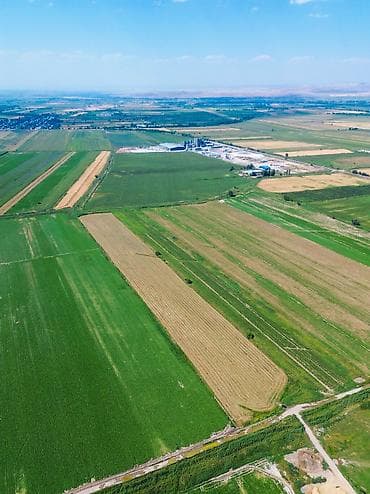 Земельные участки: 600 соток, Красная книга, Договор купли-продажи — 5