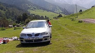 passat passat: Nissan Almera: 2001 г., 1.5 л, Механика, Бензин, Хэтчбэк — 7
